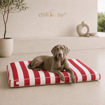 Hundekissen COAST aus Sunbrella Textil rot weiße Blockstreifen