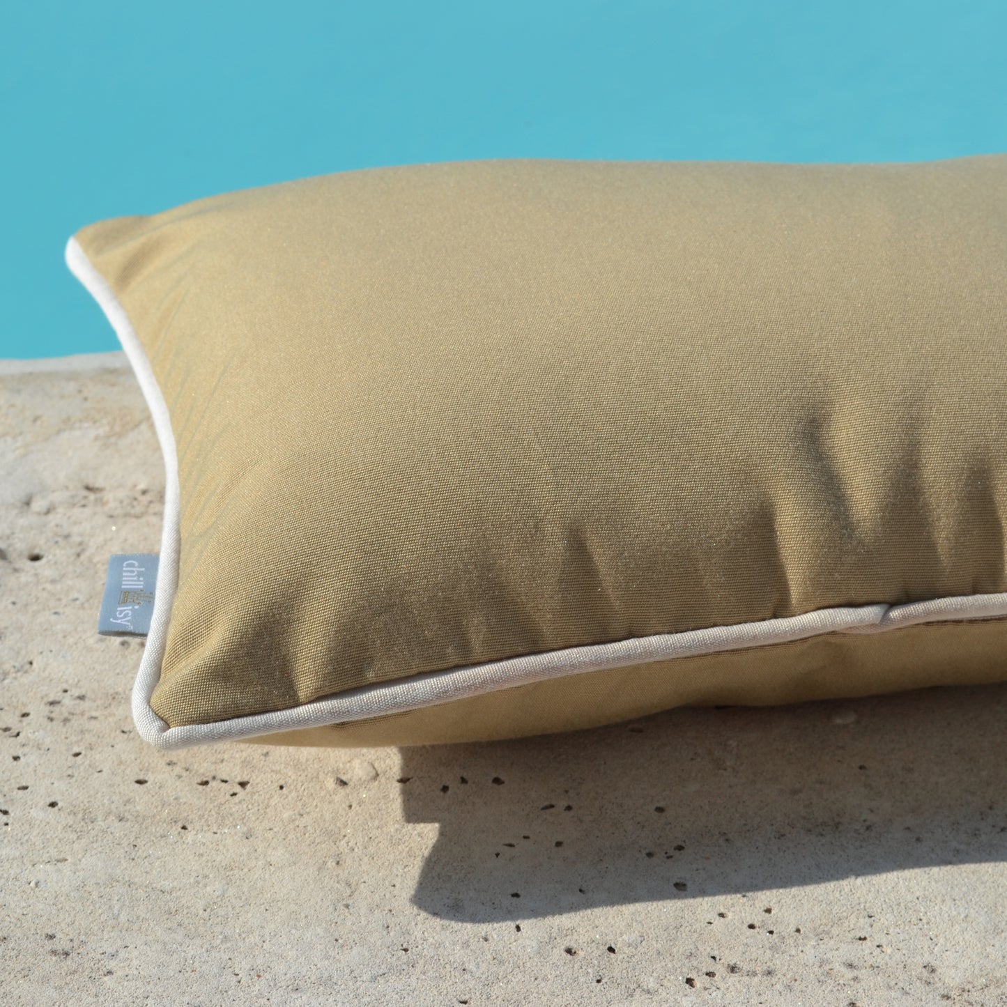 Beach House Nature pillow