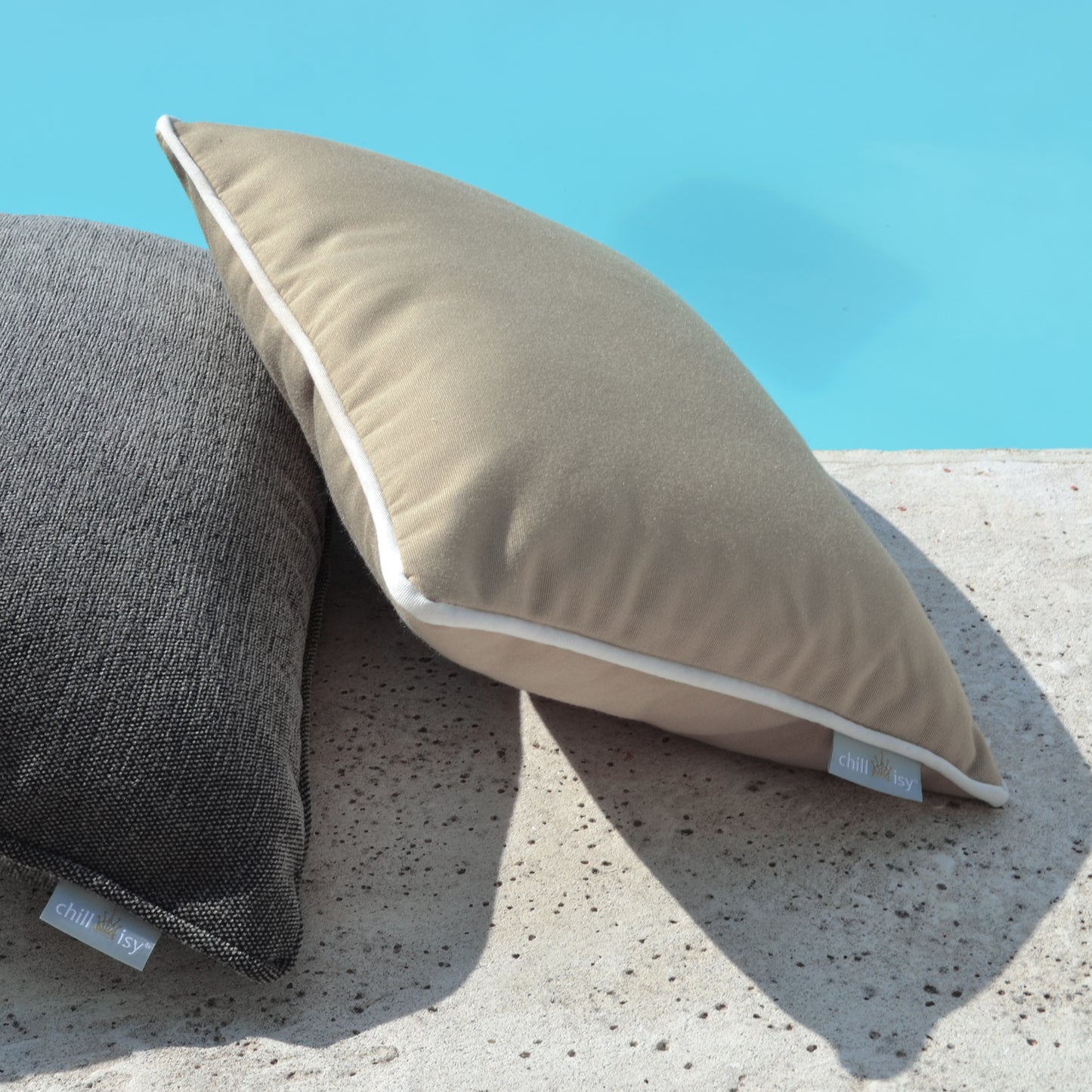 Beach House Nature pillow