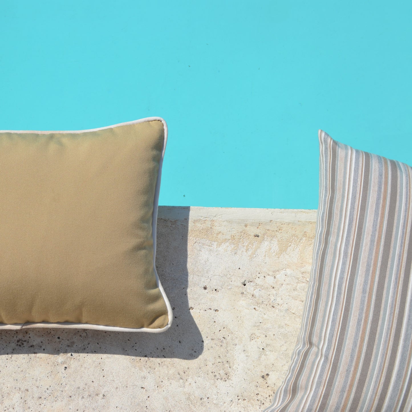 Beach House Nature pillow